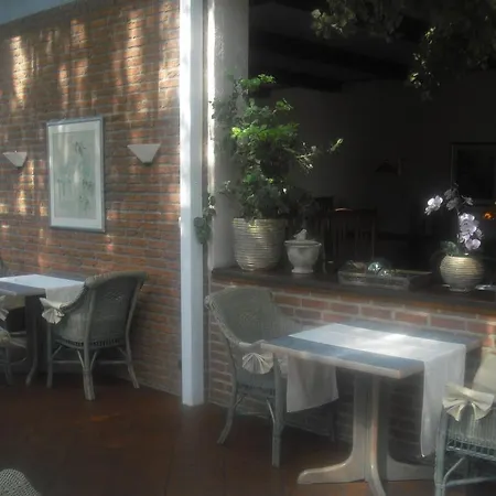 Birkenhof מלון *